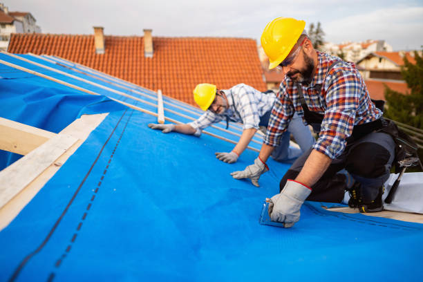 Roof Gutter Cleaning in Sauk City, WI